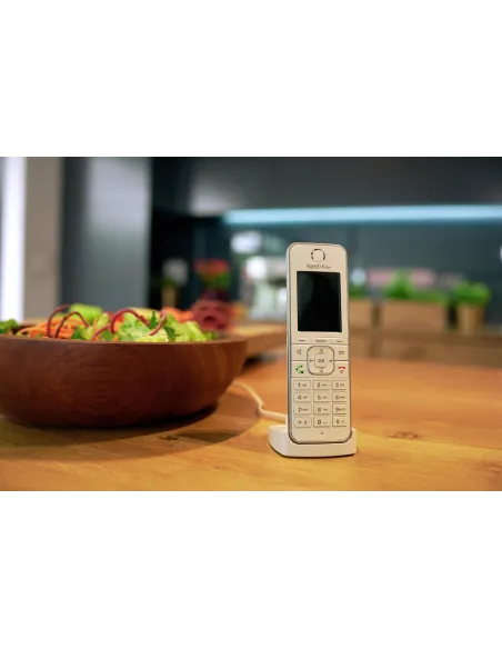 AVM Fritz!Fon C6 Teléfono Inalámbrico Blanco