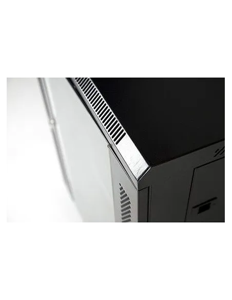 Monolyth DC6515 Armario Mural 15U