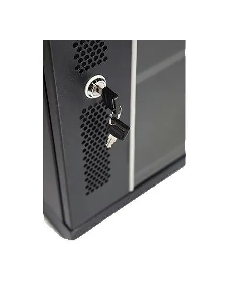 Monolyth DC6515 Armario Mural 15U