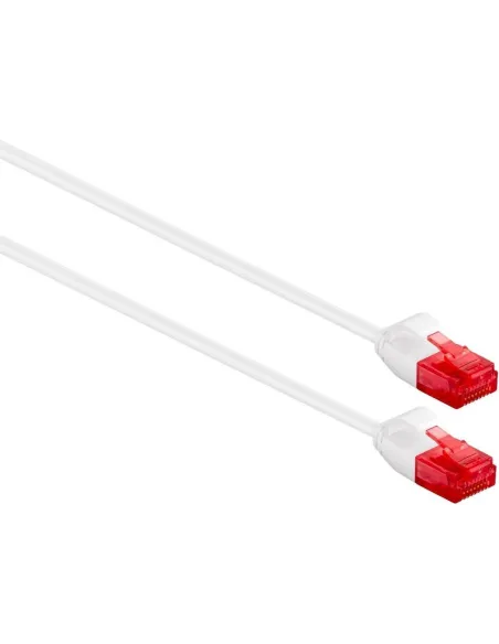 Ewent IM1035 Cable de Red RJ45 Cat.6 U/UTP Slim 25cm Blanco