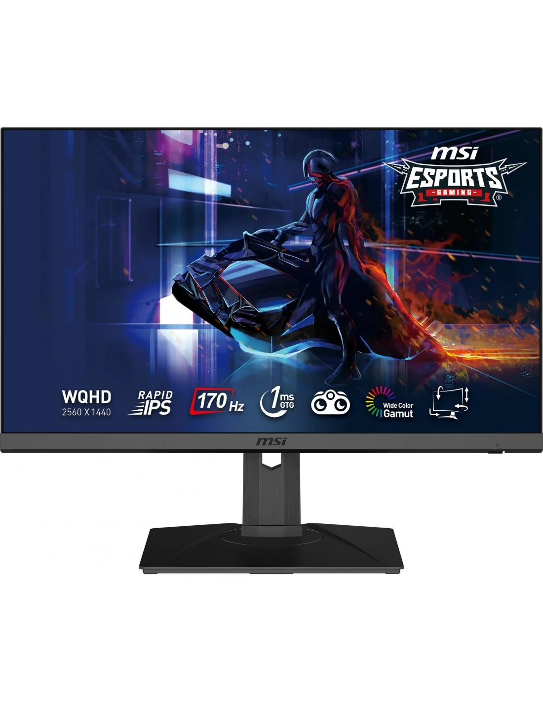 MSI G272QPF 27" LED Rapid IPS WQHD 170 Hz G-SYNC Compatible