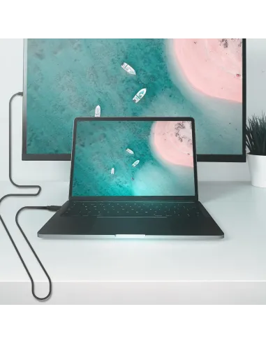 Aisens A124-0739 Cable Displayport V12 CCS 4K 60Hz 1.5M Negro