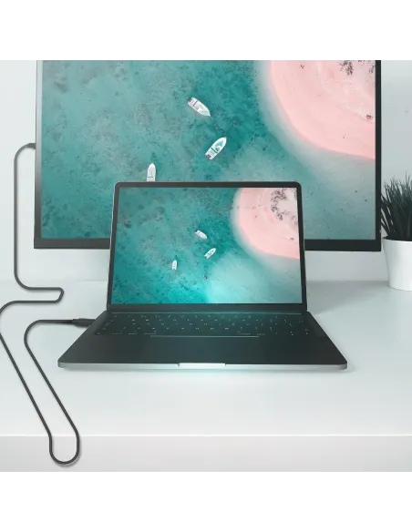 Aisens A124-0739 Cable Displayport V12 CCS 4K 60Hz 1.5M Negro