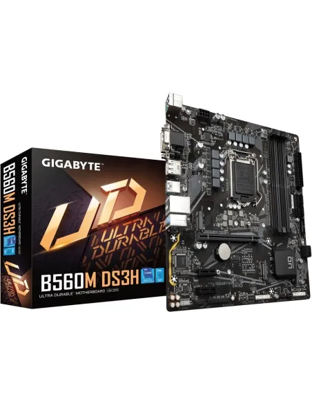 Gigabyte B560M DS3H