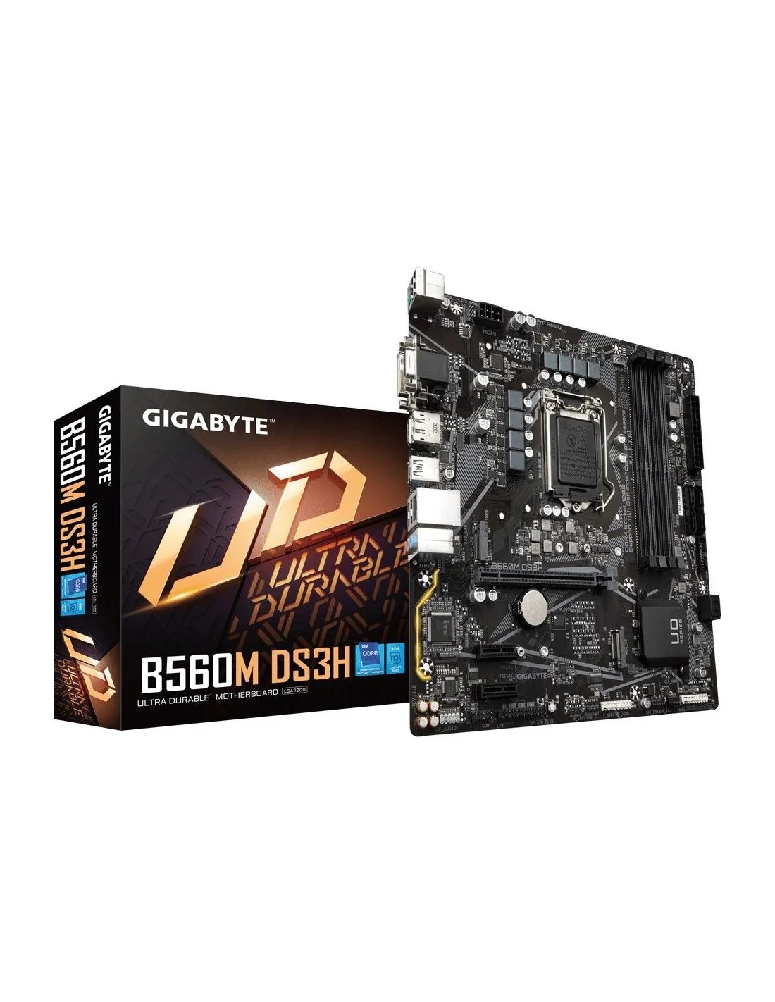 Gigabyte B560M DS3H