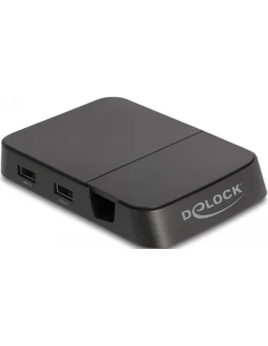 Delock 88018 Docking Station 6 puertos USB-C/USB-A/HDMI/microSD/SD Negro