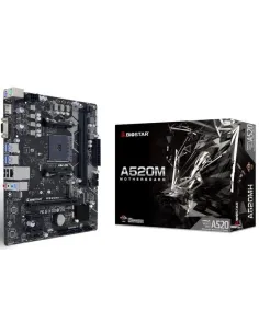 Biostar A520MH