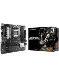 Biostar A620MP-E PRO