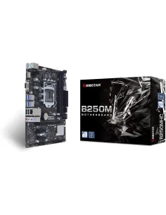 Biostar B250MHC