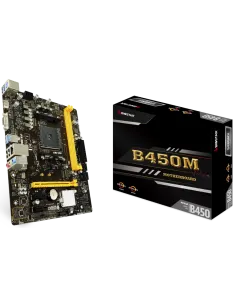 Biostar B450MH