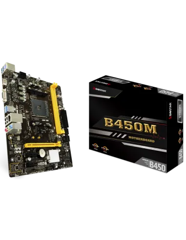 Biostar B450MH