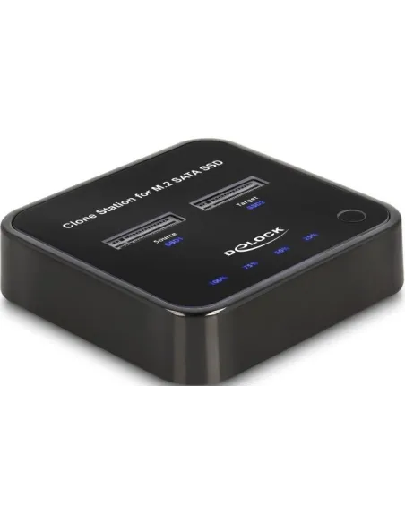 Delock 64178 Adaptador Discos Duros SATA a SSD/M.2 Negro