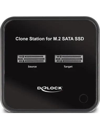 Delock 64178 Adaptador Discos Duros SATA a SSD/M.2 Negro