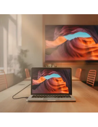 Aisens A124-0741 Cable Displayport V12 CCS 4K 60Hz 3M Negro