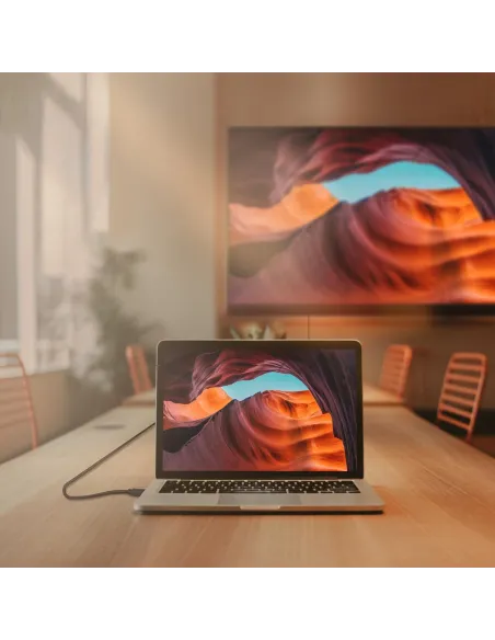 Aisens A124-0741 Cable Displayport V12 CCS 4K 60Hz 3M Negro