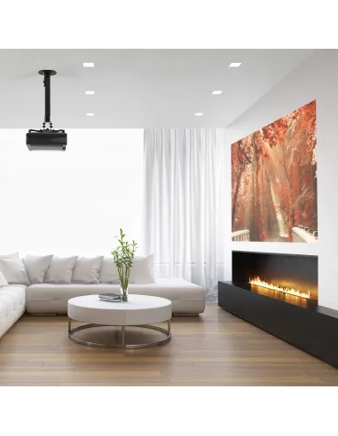 Aisens CP04TSRE-131 Soporte de Techo para Proyector Ajustable VESA 320x320 Máx. 13.5Kg Negro