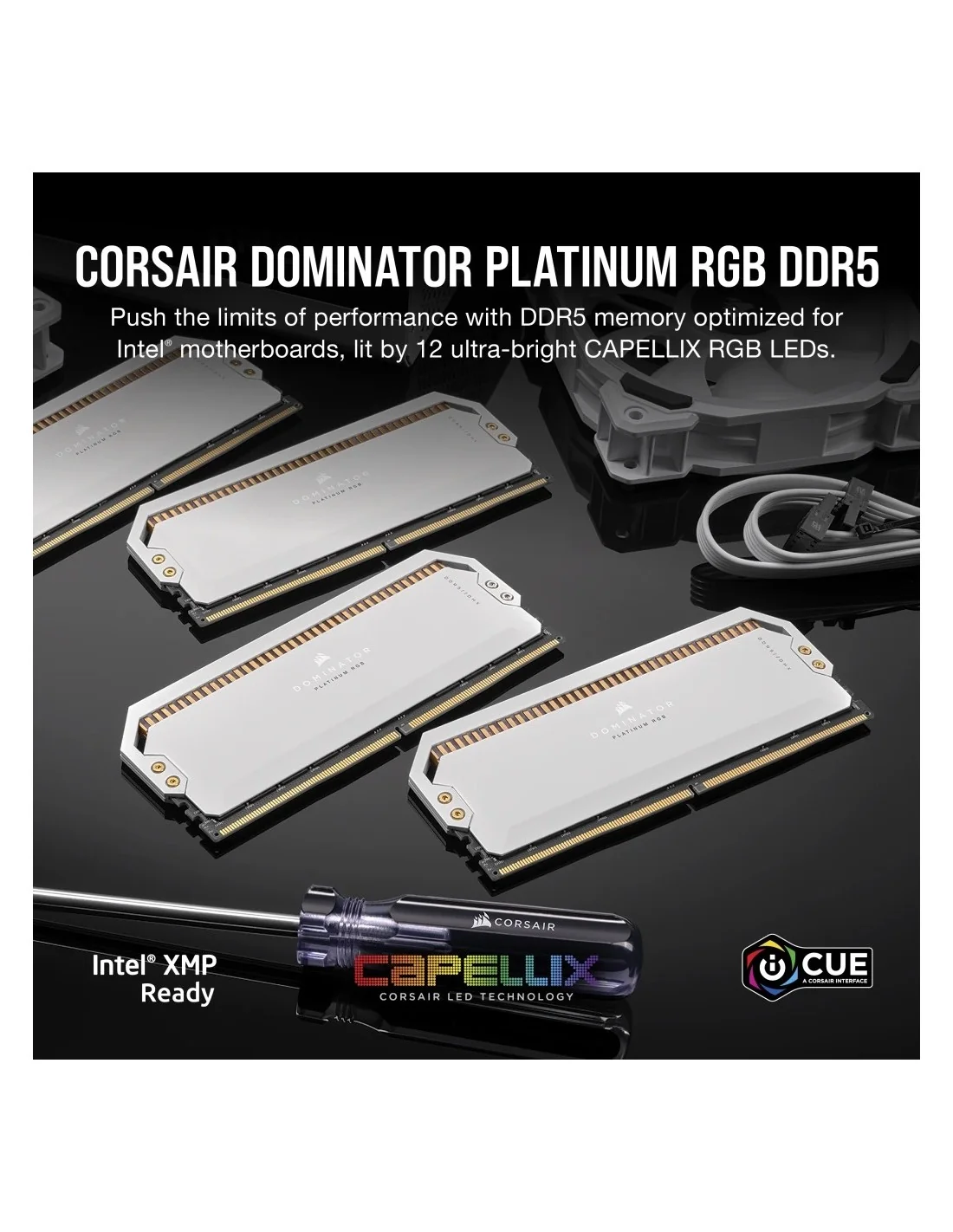 Corsair Dominator Platinum RGB DDR5 5600MHz 32GB (2x16GB) CL40