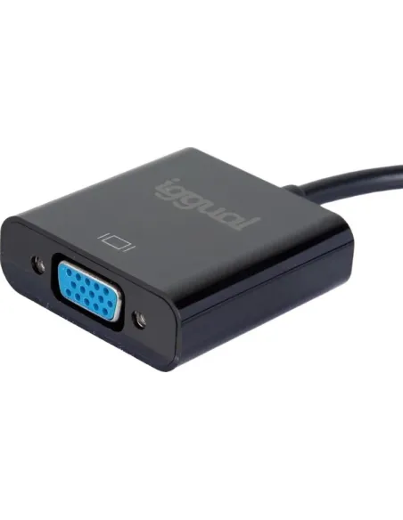 Iggual IGG319062 Adaptador de Imagen DisplayPort a VGA Full HD 20 cm Negro