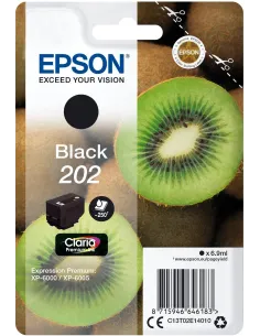 Epson 202 Cartucho de Tinta Negro-CCICTO0831