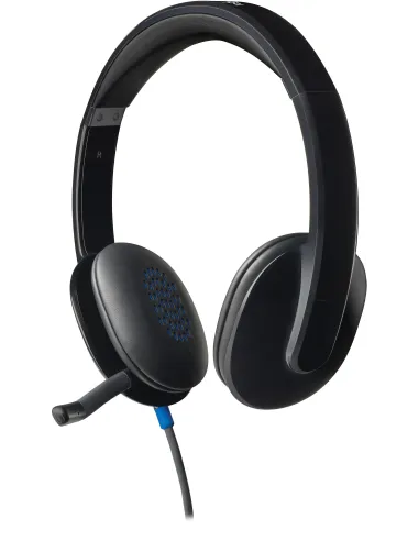 Logitech H540 Auriculares Negros