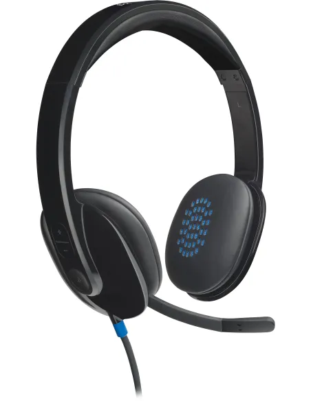 Logitech H540 Auriculares Negros