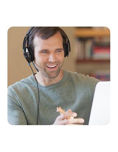 Logitech H540 Auriculares Negros