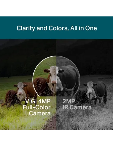 TP-Link VIGI C540 4G Cámara de Videovigilancia de Exterior IP66 4mm 4MP Blanca