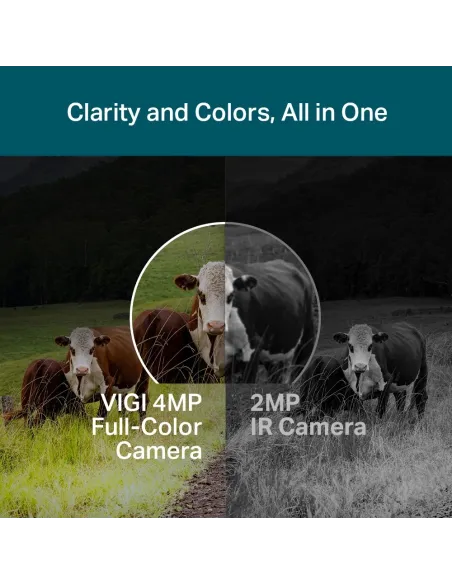 TP-Link VIGI C540 4G Cámara de Videovigilancia de Exterior IP66 4mm 4MP Blanca