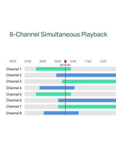 TP-Link VIGI NVR1008H-8P Grabador de Video en Red (NVR) 8 canales Negro