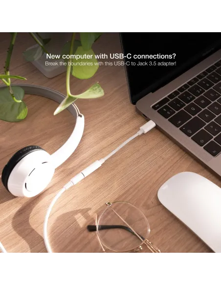 Nanocable Adaptador USB-C a Jack 3.5 Macho/Hembra 11cm Blanco