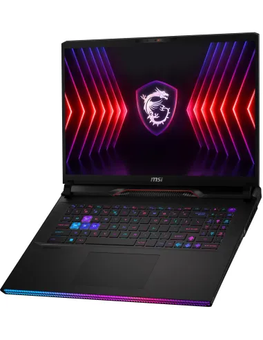 MSI Raider GE78 HX 14VHG-663ES Intel Core i9-14900HX/64GB/2TB SSD/RTX 4080/17" W11 Home