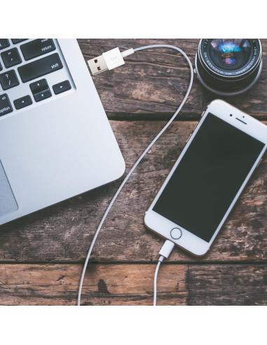 Nanocable 10.10.0400 Cable Lightning a USB 2.0 Macho/Macho 50cm Blanco