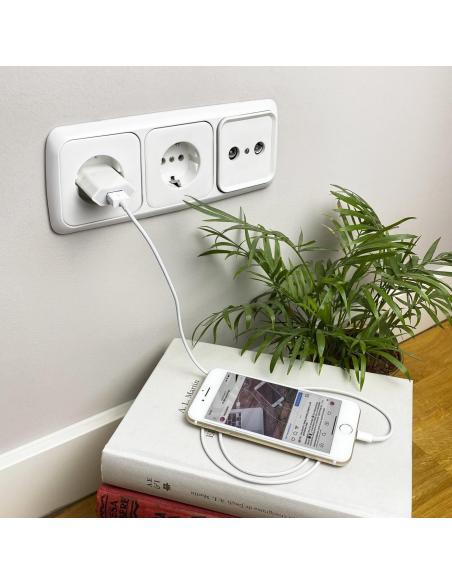 Nanocable 10.10.0400 Cable Lightning a USB 2.0 Macho/Macho 50cm Blanco