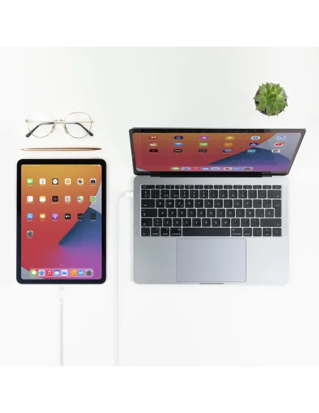 Nanocable 10.10.0600 Cable Lightning a USB-C Macho/Macho 50cm Blanco