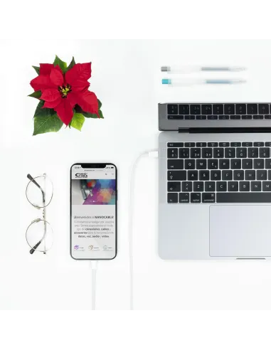 Nanocable 10.10.0601 Cable Lightning a USB-C Macho/Macho 1M Blanco