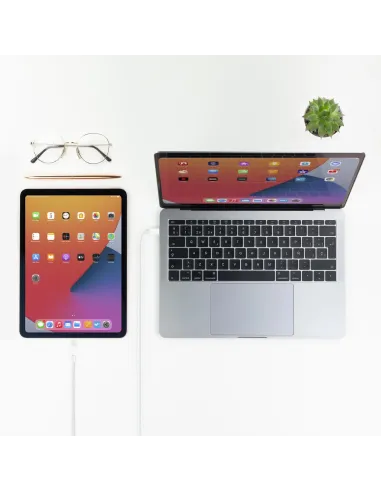 Nanocable 10.10.0601 Cable Lightning a USB-C Macho/Macho 1M Blanco