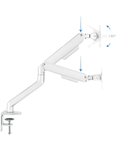 TooQ DB4032TNR-W Soporte Mesa Giratorio/Inclinable Monitor/TV 17"-32" Máx. 9Kg Blanco