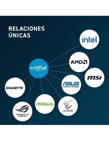 Crucial CT32G56C46S5 DDR5 32GB 5600MHz CL46 Negra