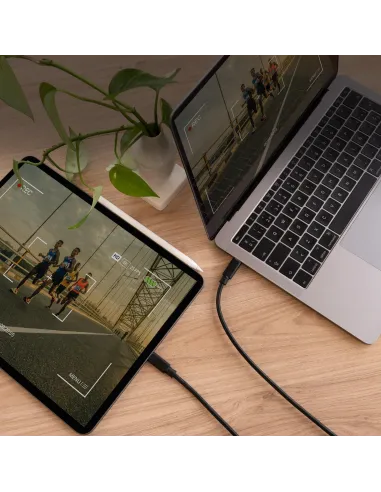 Nanocable 10.01.2301-L150 Cable USB-C/USB-C 1.5m Negro