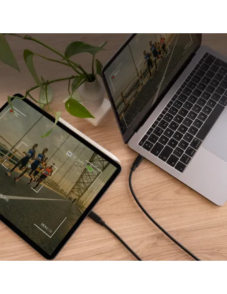 Nanocable 10.01.2301-L150 Cable USB-C/USB-C 1.5m Negro