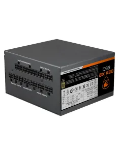 Cougar GEX X2 850W 80 Plus Gold-ICAFA70364