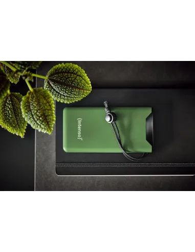Intenso F10000 Batería Externa 20W 1000mAh Verde