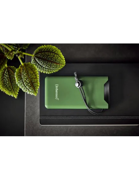 Intenso F10000 Batería Externa 20W 1000mAh Verde
