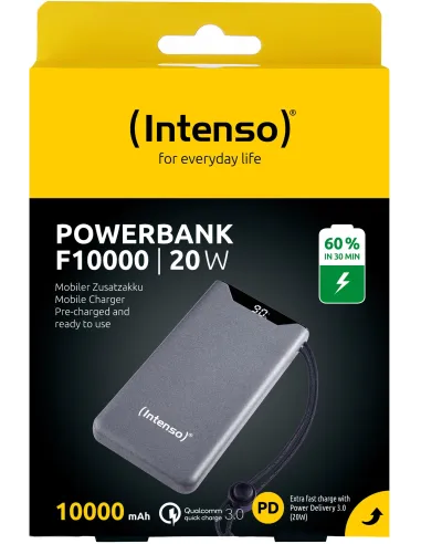 Intenso F10000 Batería Externa 20W 1000mAh Gris