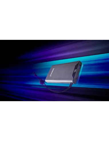 Intenso F10000 Batería Externa 20W 1000mAh Gris