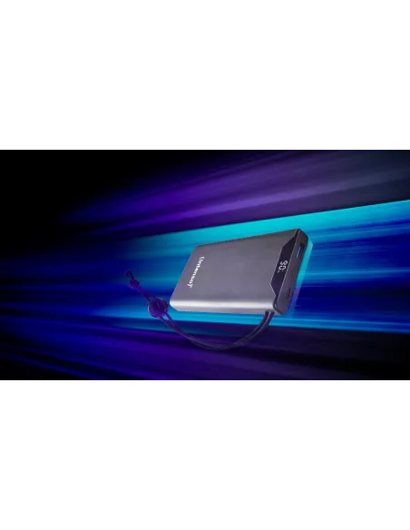 Intenso F10000 Batería Externa 20W 1000mAh Gris