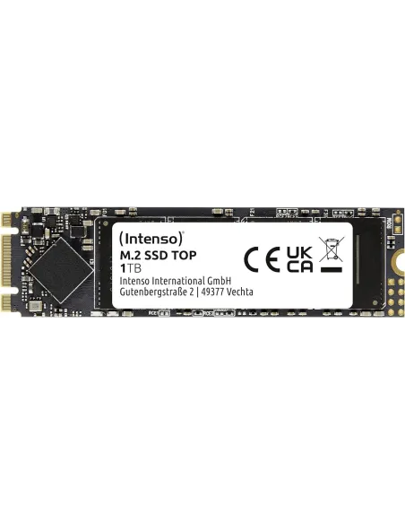 Intenso 3832460 Top SSD 1TB M.2 SATA3