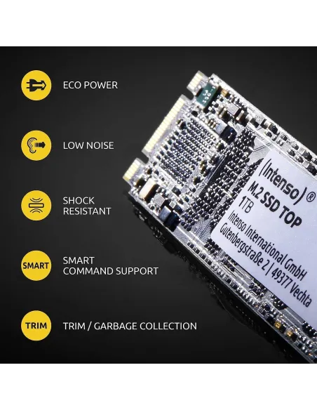 Intenso 3832460 Top SSD 1TB M.2 SATA3
