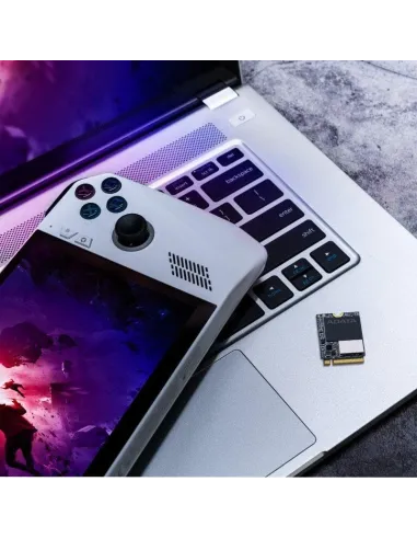 XPG Gammix S55 SSD M.2 1TB PCIe Gen 4