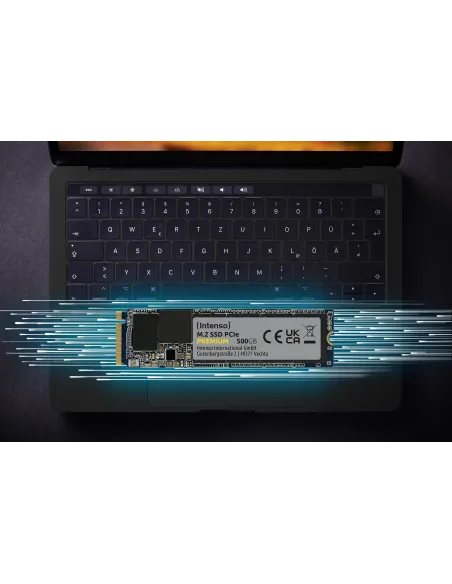 Intenso Premium SSD M.2 2TB PCIe Gen 3